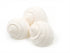 white tonna shells